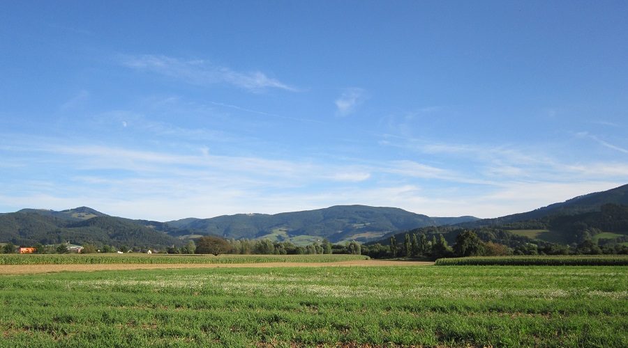 Ich schau ins Land
