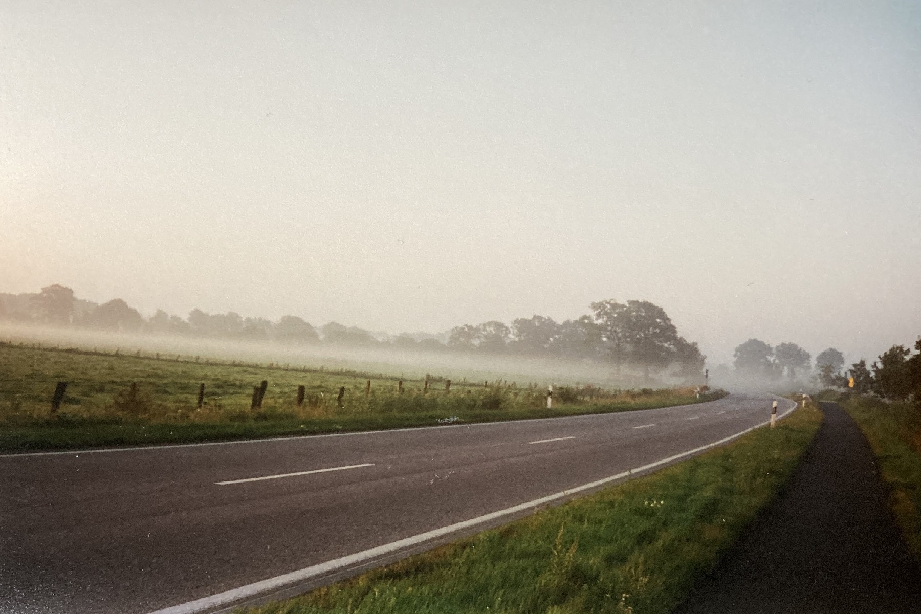 Morgens durch den Nebel
